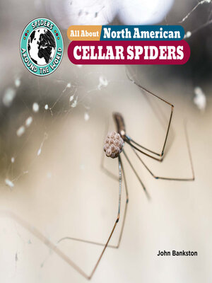 cover image of All About North American Cellar Spiders